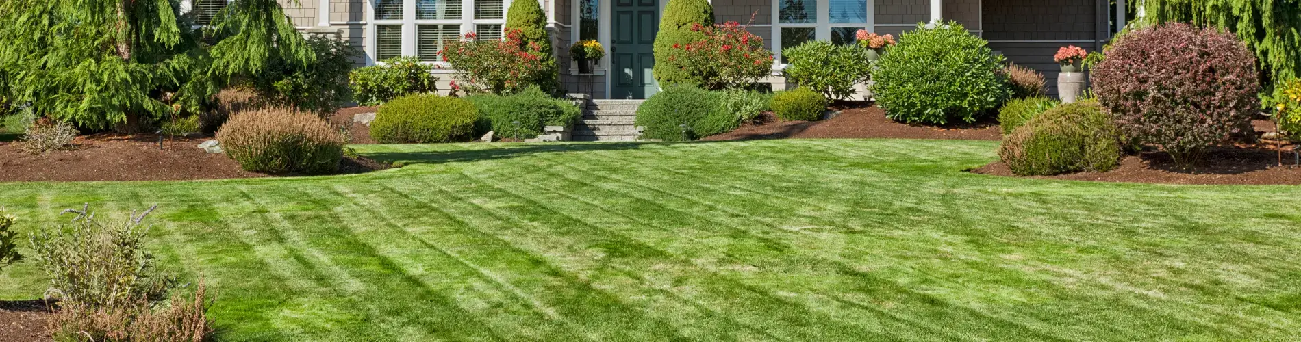 Yard done by Professional Landscaping Company in Collinsville IL