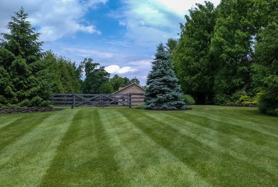 Freshly mowed lawn with stripes in residential yard