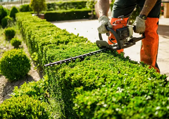 Greenside Lawn and Landscaping worker trimming hedge in Caseyville IL