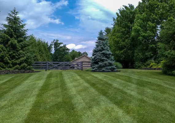 Freshly mowed lawn with stripes by landscaping service in Caseyville IL