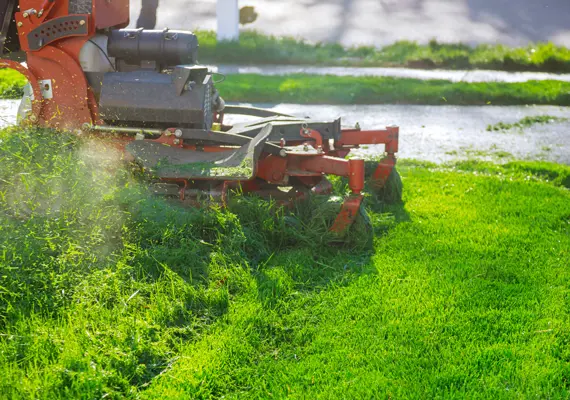 Professional lawn mowing service in Collinsville IL cutting thick grass