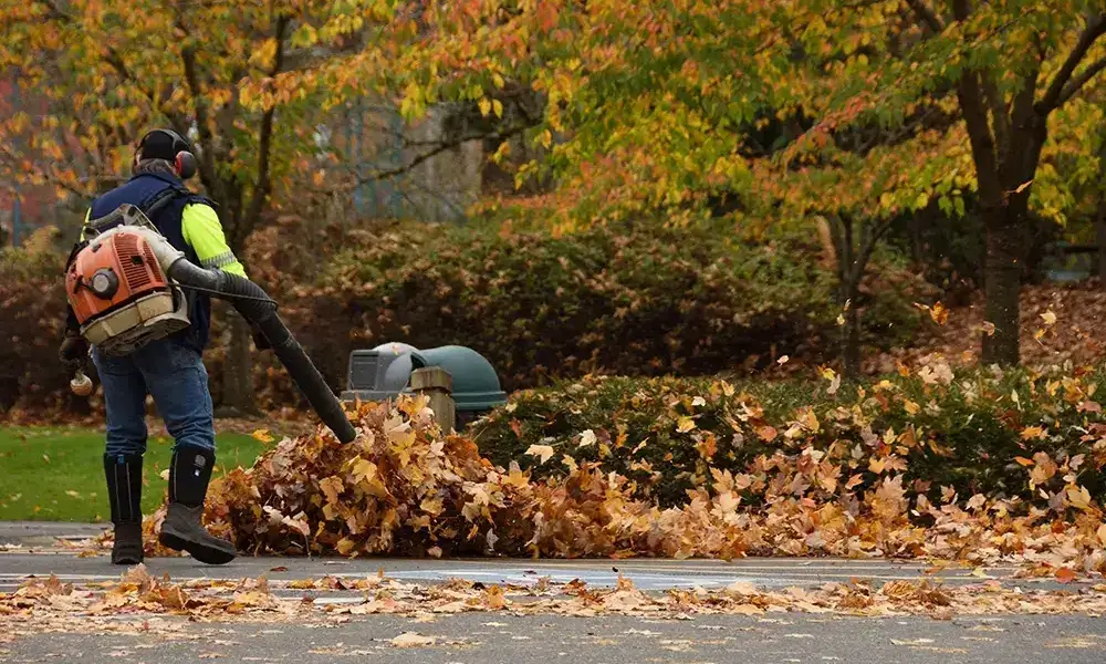 Fall Cleanup in Collinsville IL