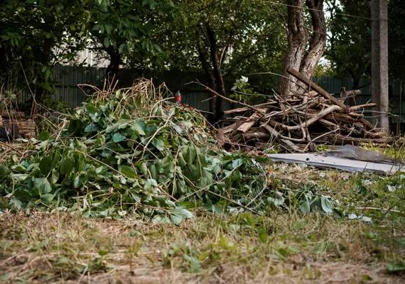 Tree trimming and yard cleanup service in Glen Carbon IL